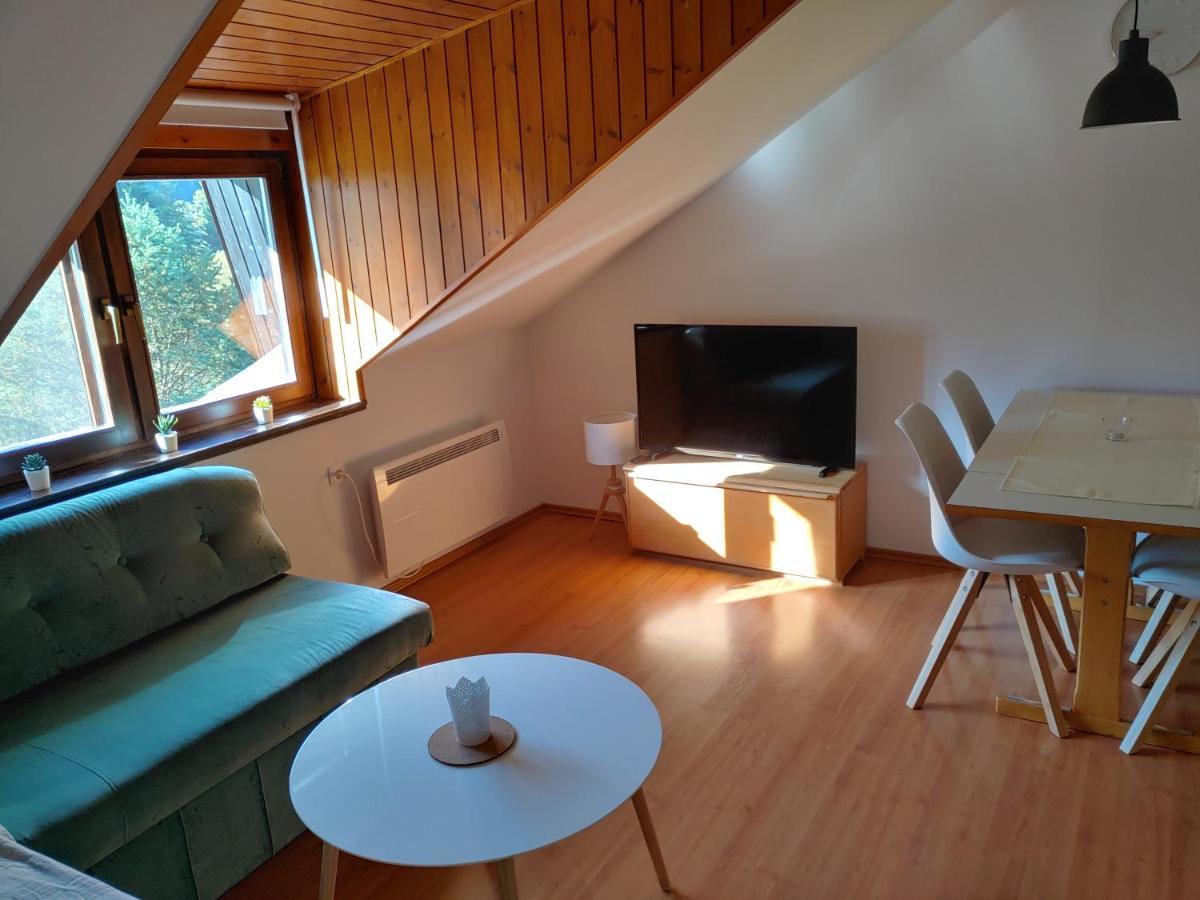 Ajda Apartment 크라니스카고라 외부 사진